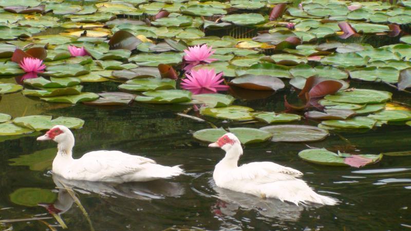 Nirvana Spiritual Retreat Gloucester Eksteriør bilde